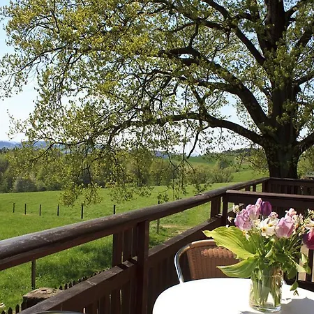 Berghof Hotel